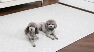 🐶 댕댕이 매트 후기! 꿀팁 & 할인 정보 대방출 🐾
