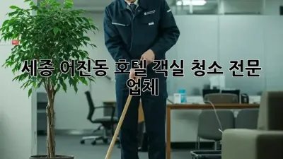 세종 어진동 호텔 객실 청소 전문 업체